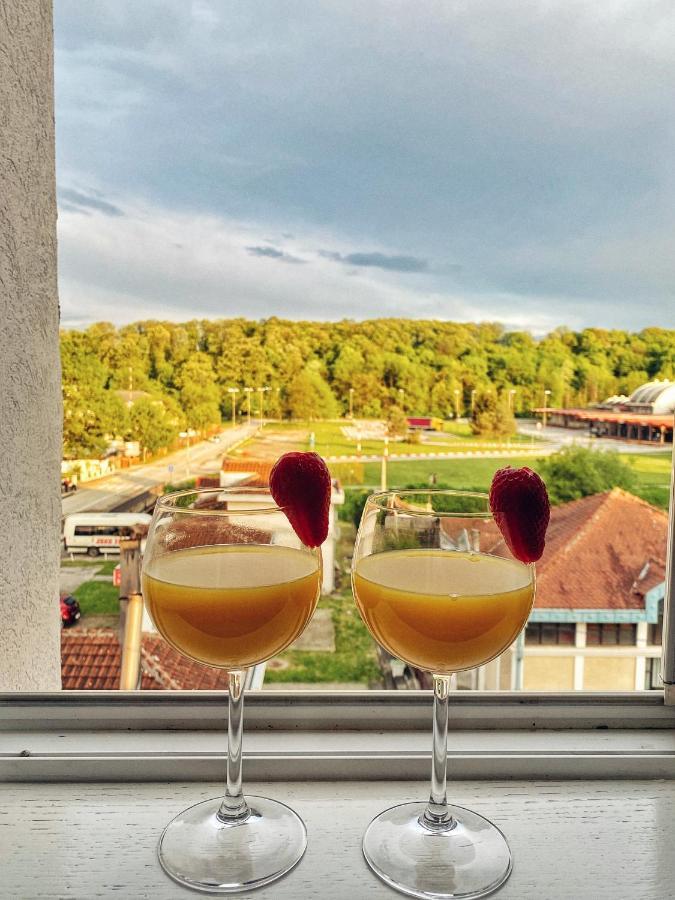 Apartmani Banja Spa Vrnjačka Banja Eksteriør bilde